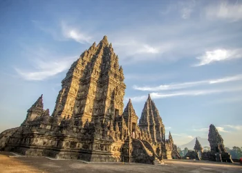 WhatsApp-Image-2024-11-05-at-2.11.26-PM